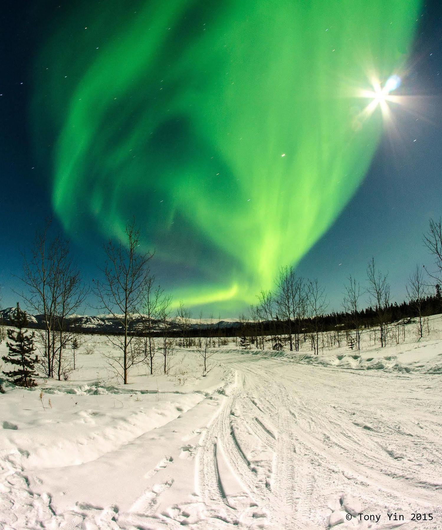 Hotel Sundog Retreat Whitehorse Exterior foto